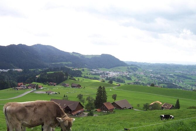 11-Day Private Lite Tour Across Switzerland by Bike from Geneve - Romanshorn marks the finish at Lake Constance