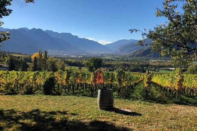 3 Hour Unique Wine Tour - Half Day in Swiss Alps - Three hours among vines, cellars, and local bottles