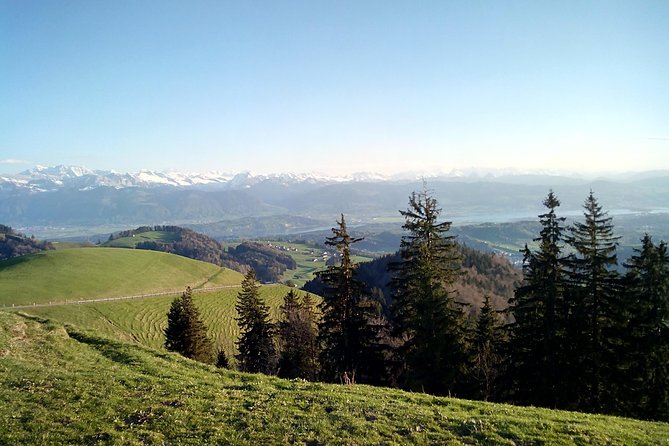 4-hour Quad Tour near Zurich - Key points at a glance