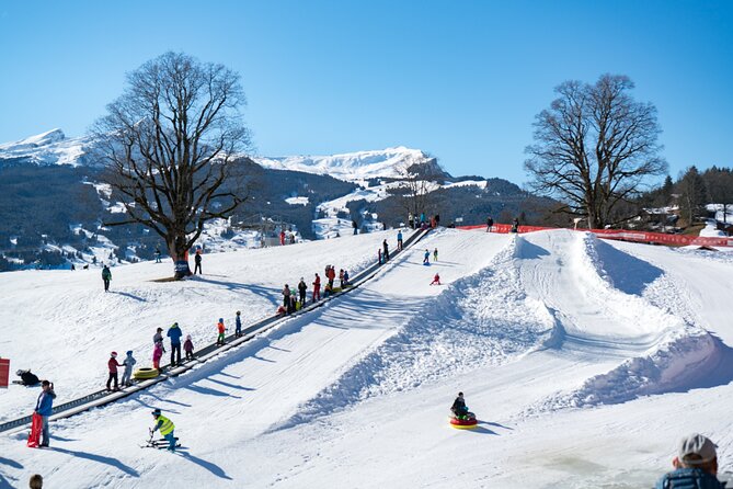 Afternoon Beginner Package Ski in Interlaken - Meeting at the Interlaken base at 11:30 am