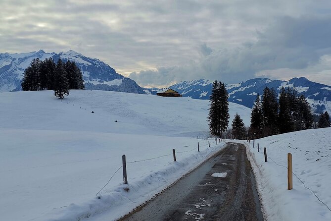 All Inclusive Rhine Falls and Appenzell Private Day Tour from Zurich - Who will enjoy this day most