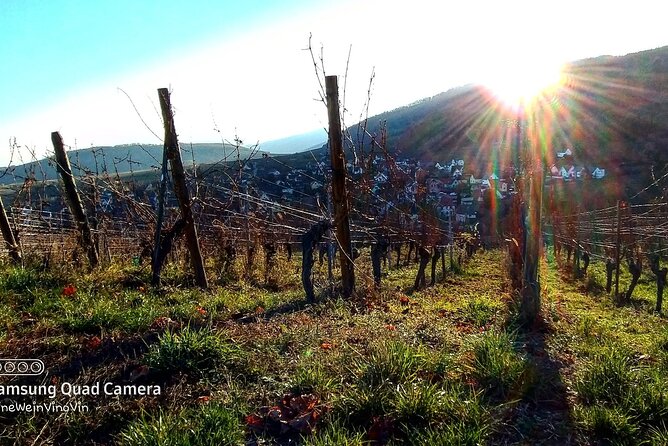 Alsace wine tour and medieval villages. Small group guided tour - Colin Bell’s guiding makes the difference
