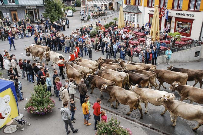 Appenzell and Liechtenstein Tour from Zurich - Why this private Zurich day trip works