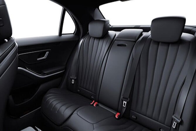 Arrival from Basel Airport BSL to Basel City by Luxury Vehicle - Booking details that affect your arrival