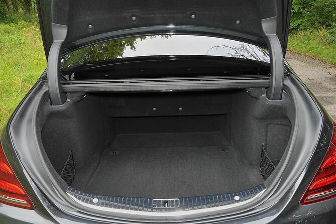 Arrival from Basel Airport BSL to Basel City by Luxury Vehicle - Who should book this Basel transfer?