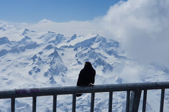 Attraction Ticket: Mt. Titlis by Train and Cableway from Lucerne - Who will enjoy this independent outing?