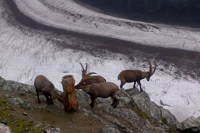 Attraction Ticket: Zermatt to Mount Gornergrat Summit - Is $265.32 a fair price?