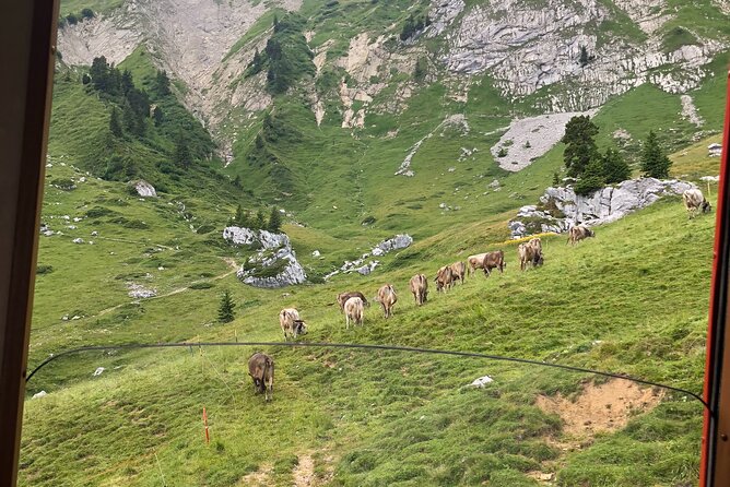 Basel Private tour - Mt. Pilatus and Cruise on Lake of Lucerne - Cruising Lake Lucerne