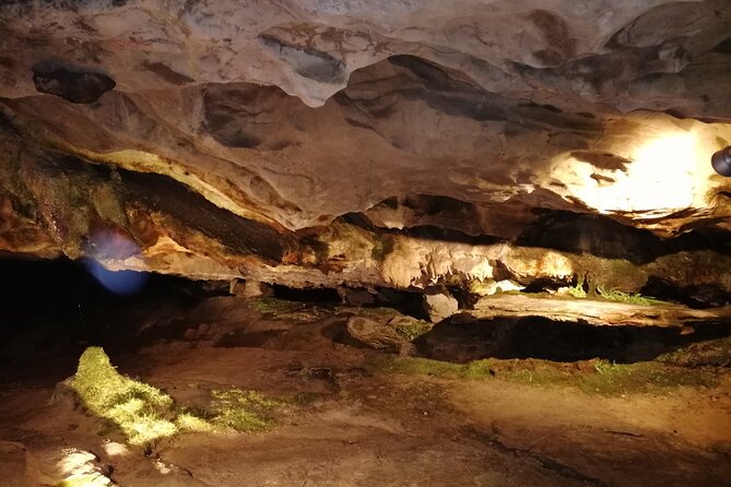 Beatus Caves, Panoramic Bridge, Nature Park Blue Lake and Lake Thun Cruise - What the $373.79 price really covers