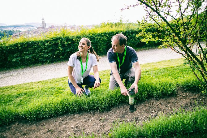 Bern Foxtrail slate - Key points to know before booking
