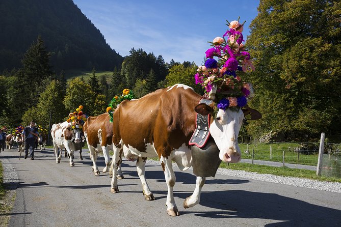Berne the Capital and Cheese paradise Emmental (Private Tour) - Planning the day from Zurich