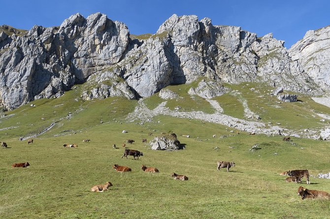 Best of the Uri Alps: A fjord-like lake, glorious peaks and sustainable tourism - A private day with no fixed sightseeing script