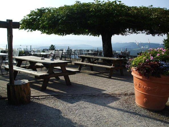 Best of Zurich Tour with Felsenegg Cable Car and Ferry Ride - Starting at Sihlquai and seeing the city by coach