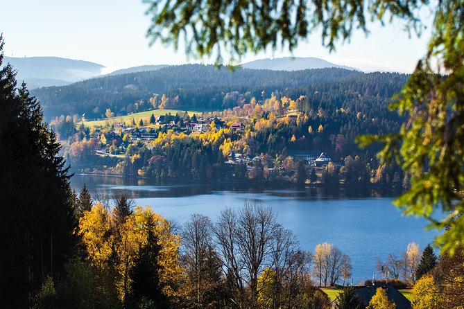 Black Forest and Rhine Falls Day Trip from Zurich - What the $103.95 price really buys you