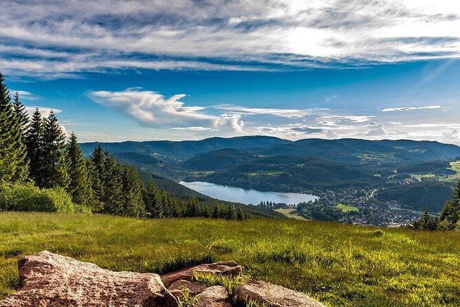 Black Forest and Rhine Falls Day Trip from Zurich - Who will enjoy this day trip most