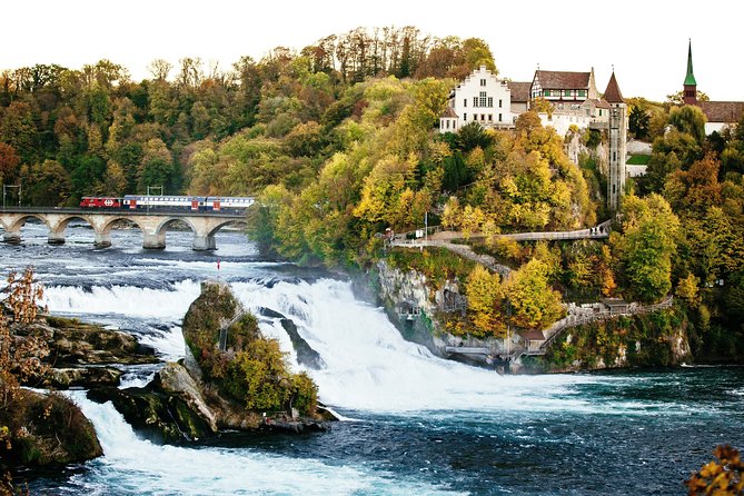 Black Forest and Rhine Falls Day Trip from Zurich - Practical ways to make the day better