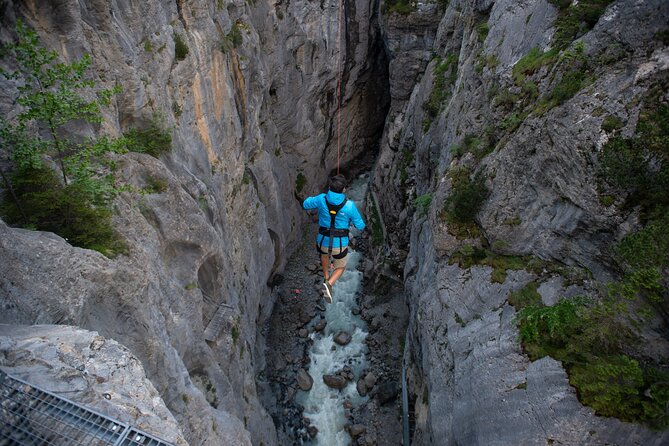 Canyon Swing with OUTDOOR - Is $185.55 a fair price?