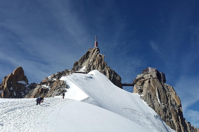 Chamonix & Mont Blanc Guided Day Trip with SkyView Panoramic bus - Who should book this Geneva day trip?