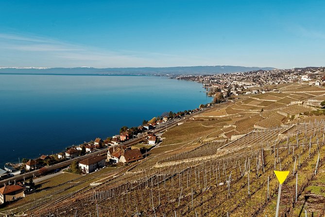 Cheese, Chocolate and Wine in the Bern Region from Luzern - Gruyère cheese: a working dairy, not just a gift shop