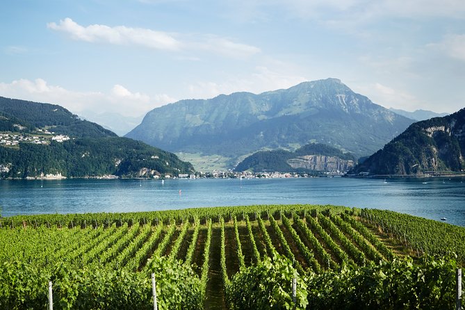 Chocolate, Cheese and Wine Tour in Luzern region - Adding a village or natural attraction
