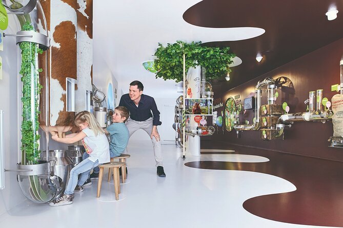 Chocolate factory Individual experience tour - What the Chocolarium experience is really about