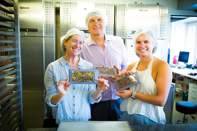 Chocolate Tasting with Lake Trip and City Tour: The Ultimate Lucerne Experience - What the optional workshop adds