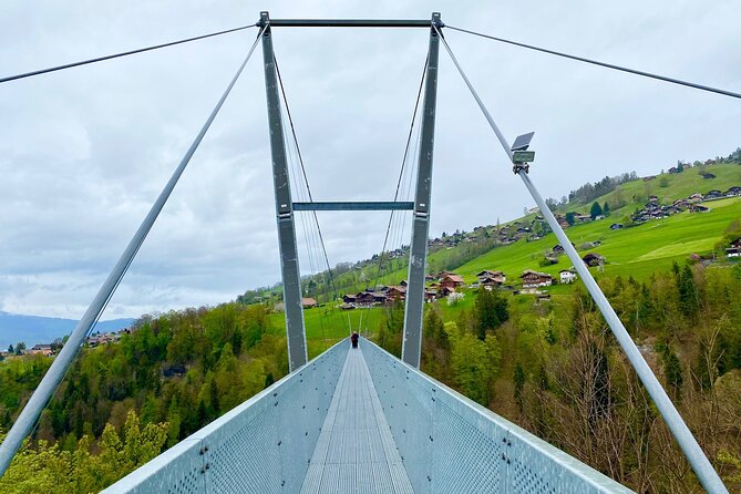 Crash Landing on You Private Switzerland Day Tour from Zurich or Lucerne (CLOY) - The drive is part of the experience
