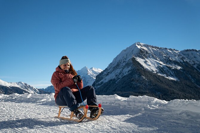 Day Sledding in Interlaken - One hour through forests and past frozen waterfalls