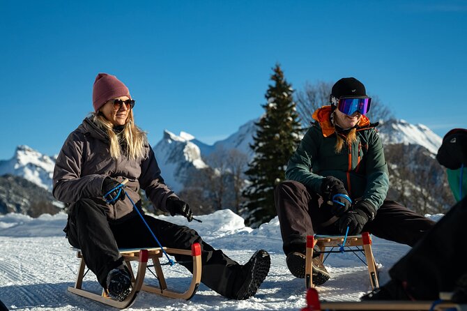 Day Sledding in Interlaken - What guides add to the day