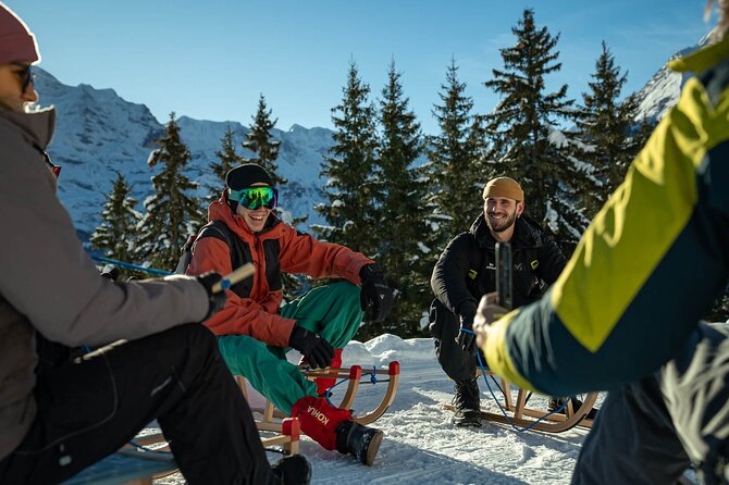 Day Sledding in Interlaken - Is $130.66 a fair price?