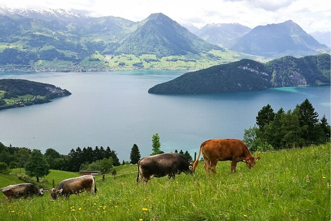 Day Trip to Lucerne and Mt. Rigi with a local from Zurich - Taking the cable car toward Rigi Kaltbad