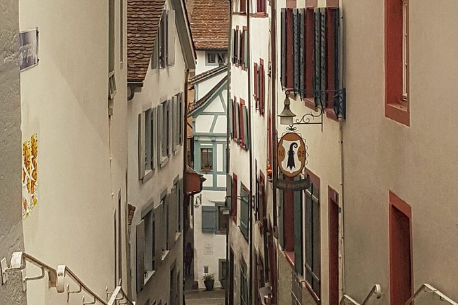 Discover Basel's Charm: Exclusive Private Walking Tour - The minster area and the Rhine viewing terrace