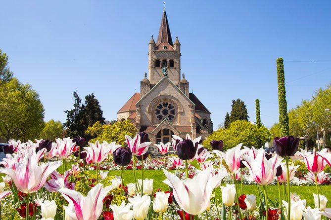 Discover Basel’s most Photogenic Spots with a Local - Mittlere Brücke and the classic Rhine view