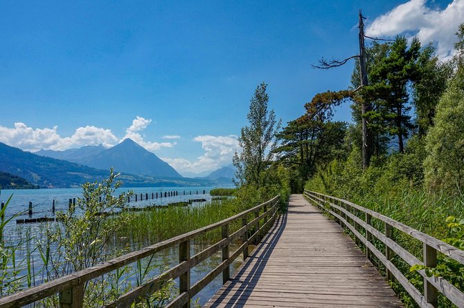 Discover Interlaken’s most Photogenic Spots with a Local - Höhematte Park puts the mountains in the frame