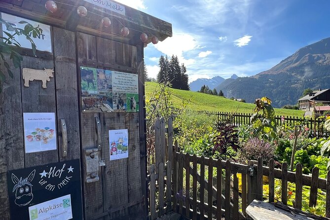 Easy countryside tour in Swiss Alps - kids friendly - Practical details before you book