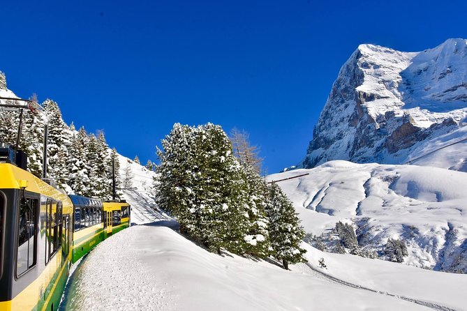 Eiger and Jungfrau Glacier Panorama Tour from Zurich - Who will get the best value from the $202 price?