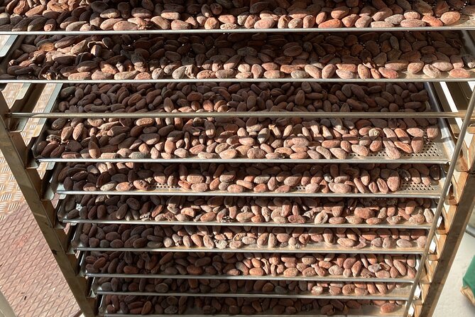 Ethical Chocolate Tour - Booking, cancellation, and group details