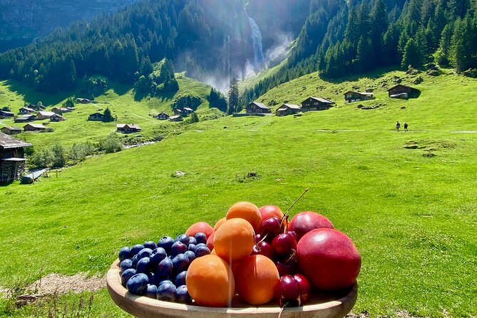 Flavours of Switzerland Luxury Private Tour from Zurich & Lucerne - Four hours in Uri, including a mountain pass and BBQ