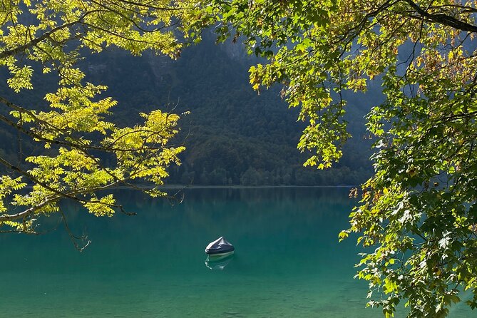 Flavours of Switzerland Luxury Private Tour from Zurich & Lucerne - What the $1,770.55 price really buys