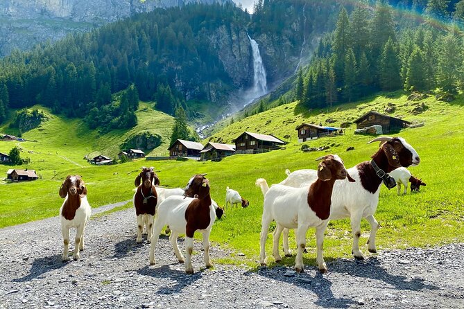 From Zurich: The most beautiful insider spots in Switzerland (private 1-day tour) - Why this route works for a one-day escape from Zurich