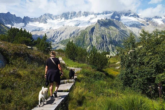 Full-Day Hiking Swiss Alps and Lake swim with Pick-up - Winter snowshoe walks near Engelberg, Langis, and Rigi