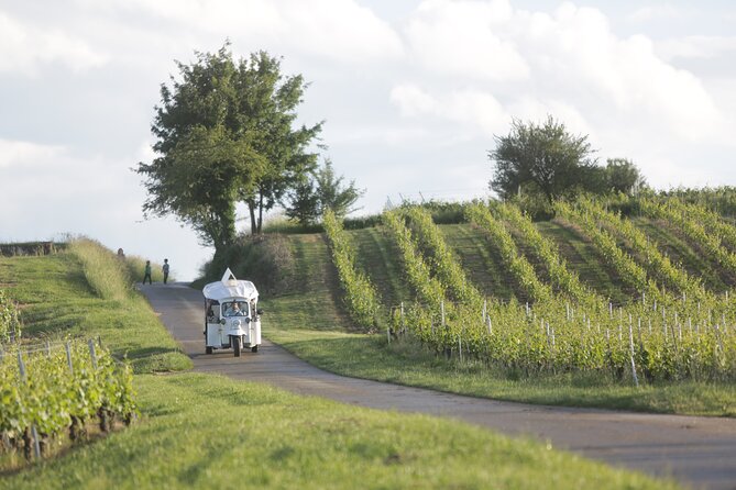 Geneva Panoramic & Tasting Vineyards Tour in an Tuk Tuk - What the private format really gives you