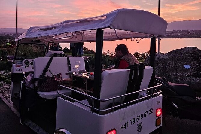Geneva: Sightseeing of top Places Tour Electric TukTuk 1H15 tour - Geneva’s streets, hills, and useful viewpoints