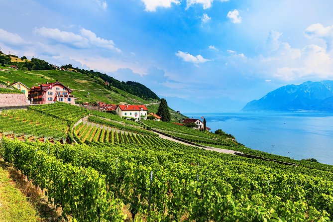 Geneva to Gruyère Private Day Trip. Cheese & Chocolate Tour - What the private format adds