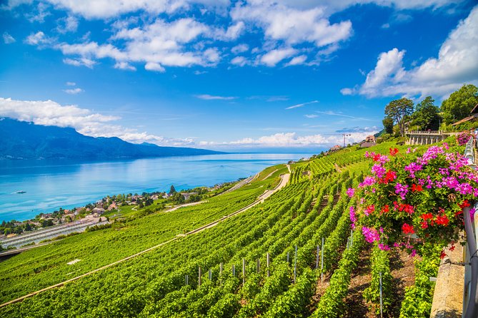 Geneva to Gruyère Private Day Trip. Cheese & Chocolate Tour - Who should book this experience?