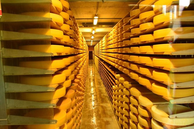 Geneva to Gruyère Private Day Trip. Cheese & Chocolate Tour - A scenic pause on the Lavaux wine terraces