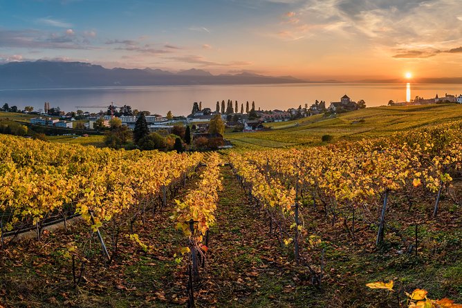 Geneva to Lausanne, Montreux and Château Chillon Private Tour - Vevey and the quieter side of the lake