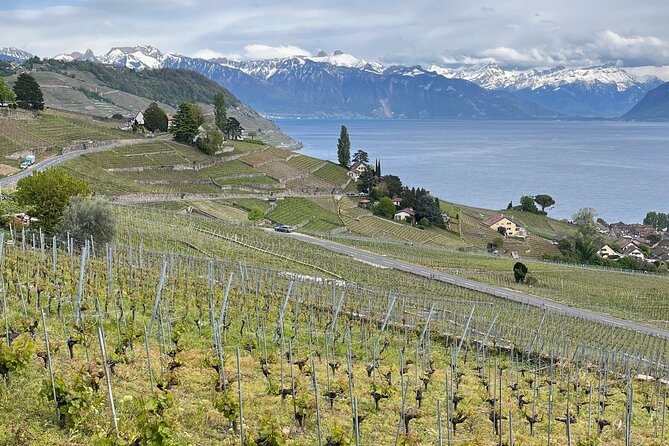 Gourmet Food and Wine Tasting Walk in Lavaux - Lutry: a medieval village and a final tasting