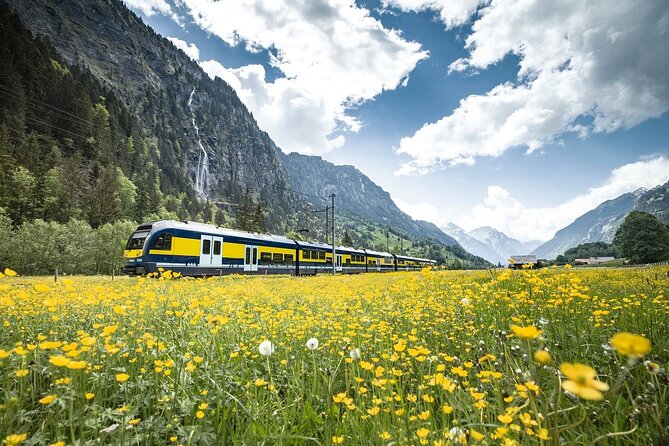 Grindelwald First - Top of Adventure from Lucerne - Grindelwald First and the cable car ride