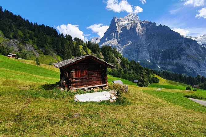 Grindelwald First (Top of Adventure) Ticket incl. Cliff Walk - Who Will Get the Most From This Experience?